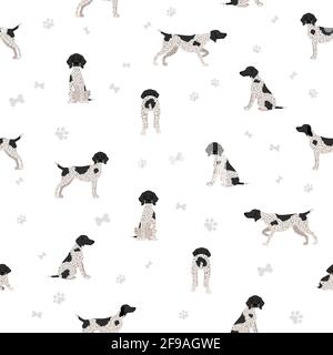 German shorthaired pointer seamless pattern. Different poses, coat colors set.  Vector illustration Stock Vector