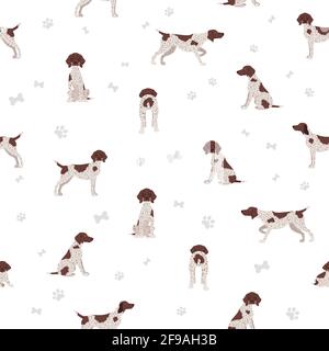 German shorthaired pointer seamless pattern. Different poses, coat colors set.  Vector illustration Stock Vector