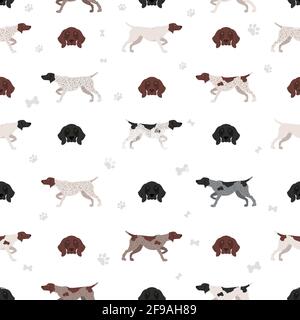 German shorthaired pointer seamless pattern. Different poses, coat colors set.  Vector illustration Stock Vector