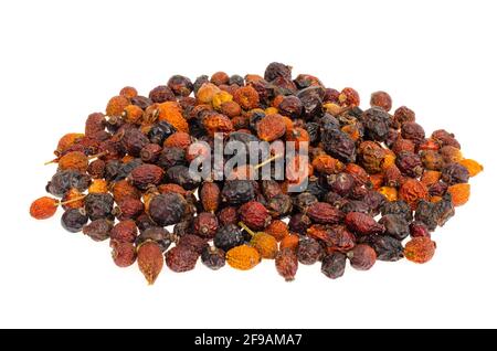 Bunch of dried rose hips isolated on white background. Studio Photo Stock Photo