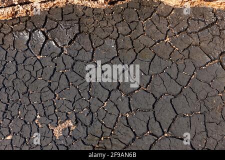 Dry soil in a bog lake Stock Photo