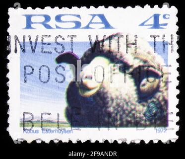 MOSCOW, RUSSIA - SEPTEMBER 22, 2019: Postage stamp printed in South Africa shows Merino Sheep (Ovis ammon aries), serie, circa 1974 Stock Photo