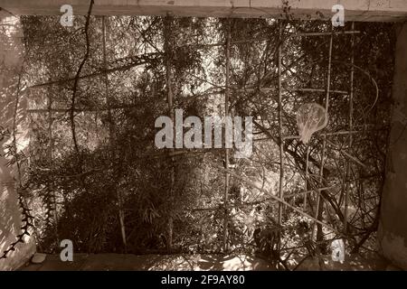 support for climbing plants made out of bamboo sticks on veranda of house in Altea La Vella, Alicante, Spain Stock Photo