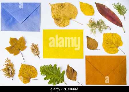 Closeup shot of autumn leaves and envelopes isolated on a white surface with space for text Stock Photo