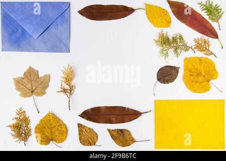 Closeup shot of autumn leaves and envelopes isolated on a white surface with space for text Stock Photo