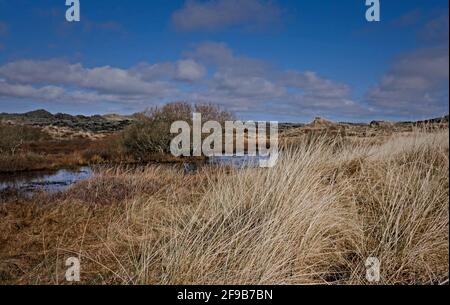 Forvie Nature Reserve in North East Scotland with pond and grasses Stock Photo