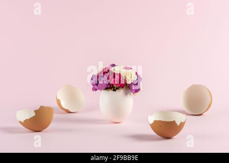 Spring flowers in cracked eggshell with broken Easter eggs against pastel pink background. Easter minimal concept. Creative Happy Easter or spring lay Stock Photo
