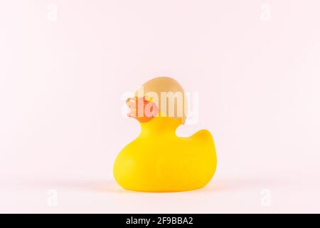 Rubber duck with cracked eggshell on pastel pink background. Easter minimal concept. Creative Happy Easter or spring layout. Stock Photo