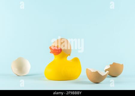 Rubber duck with cracked Easter eggs on pastel blue background. Easter minimal concept. Creative Happy Easter or spring layout. Stock Photo