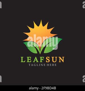 Sun & Green Leaf Logo Icons vector design template. Eco Sun Energy Logo isolated on black background Stock Vector