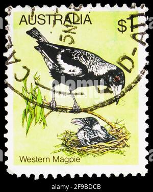 MOSCOW, RUSSIA - SEPTEMBER 24, 2019: Postage stamp printed in Australia shows Western Australian Magpie (Gymnorhina tibicen dorsalis), Birds serie, ci Stock Photo