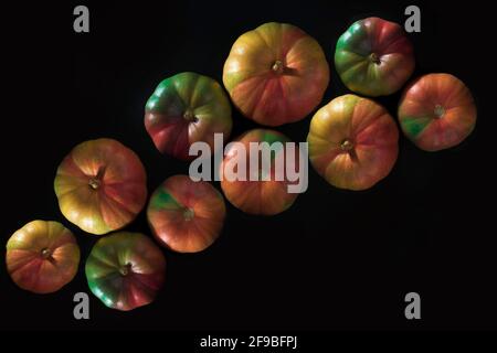 Mysore Pumpkins on black background,colorfull pumpkis A pumpkin is a cultivar of winter squash that is round with smooth, slightly ribbed skin, Stock Photo