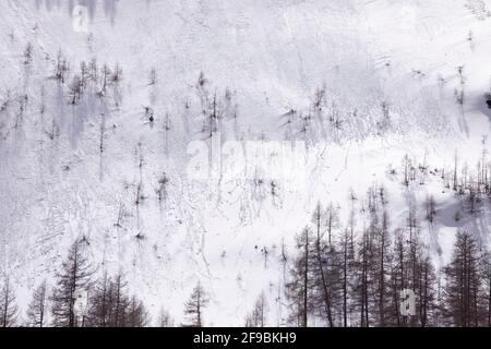 Steep slope, extreme terrain in high mountains. Abstract winter background, rocky wall covered with snow, textured surface, silhouettes of fir trees. Stock Photo