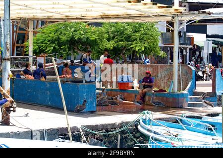 Fish market in Puerto Lopez, Santa Cruz Island, Galapagos, Ecuador Stock Photo