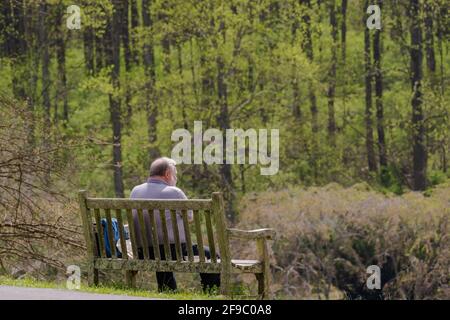 Long distance photo of a man sitting on a park bench looking over the scenery in Meadowlark Botanical Gardens. Stock Photo