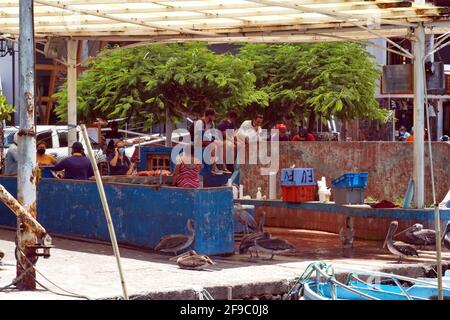 Fish market in Puerto Lopez, Santa Cruz Island, Galapagos, Ecuador Stock Photo