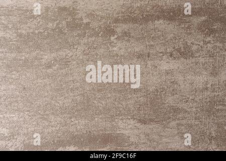 Front view, indoors horizontal shot. Stock Photo