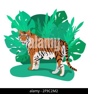 Tiger standing among thick palm leaves, wild carnivores living in the jungle, vector illustration in flat style Stock Vector