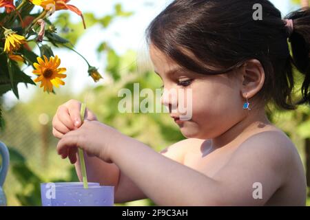 Little girl with a ponytail stirring a drink with a straw while sitting at a summer table against the background of a blurred vineyard Stock Photo