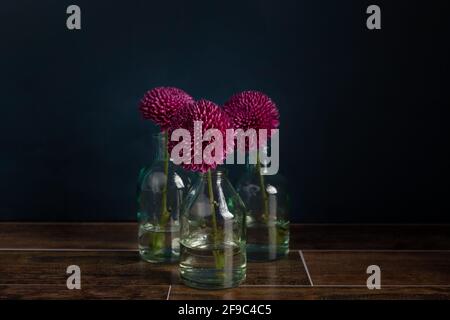 Simple grouping of flowers in vases on wooden table with blue wa Stock Photo