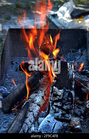 firewood burns in the grill Stock Photo