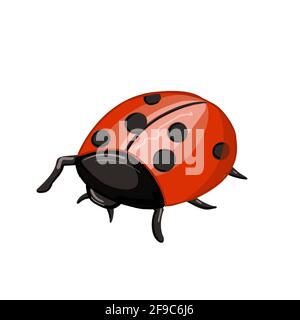 Cute cartoon ladybug . red insect with blackspots Stock Vector