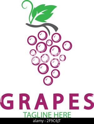 Grapes logo template vector icon illustration design Stock Vector