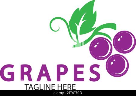Grapes logo template vector icon illustration design Stock Vector