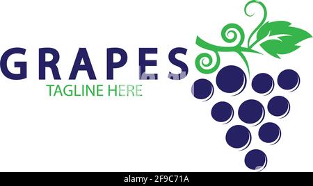 Grapes logo template vector icon illustration design Stock Vector