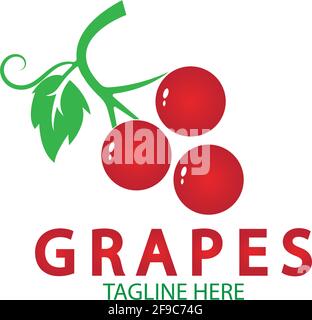 Grapes logo template vector icon illustration design Stock Vector