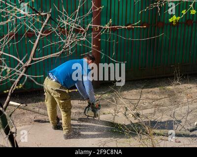 Moscow. Russia. April 17, 2021. A man is sawing a thick branch of a tree with a chainsaw. Rejuvenation of trees. Sunny spring day. Stock Photo