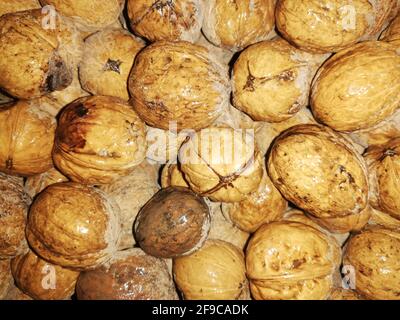 Walnut kernel on natural walnut background, Stock Photo