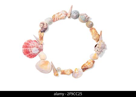 Round frame from seashells, molluscs and seashells on white isolated background. Sea background. Copy space Stock Photo