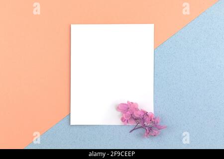 Blank white paper card with dried flowers on it, flat lay workspace concept with copy space, top view photo Stock Photo