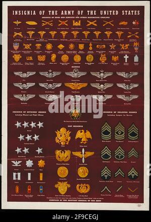 An American WW2 chart showing the Uniform Insignia of the US Navy Stock ...