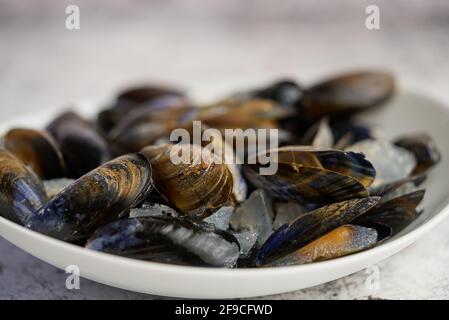 Shellfish raw mussels in ceramic white bowl, placed on stone gray background Stock Photo