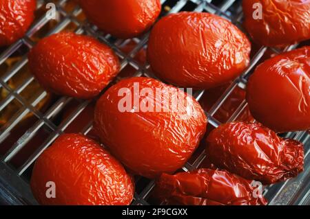 Tomatoes in the vegetable dryer. Dried tomatoes on the grill for drying. Tomatoes are greased with oil, seasoned with spices and dried. Stock Photo