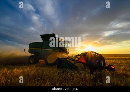 Fall harvest on the Canadian prairies in the Saskatchewan grain belt. Stock Photo