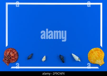 Frame of the seashells on a blue background, flat lay composition with copy space, top view photo Stock Photo