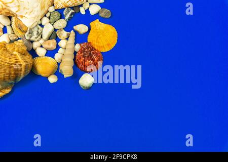 Sea and summer background with sea shell and pebble, copy space and top view composition photo Stock Photo