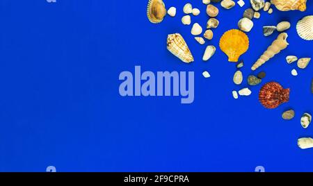 Creative summer flat lay banner, workspace composition with seashell and pebbles, copy space photo Stock Photo