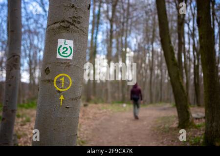 Hiking trail sign with blurry person in the background walking the path through the german forest in region Bergstrasse hessen, germany. picture at da Stock Photo