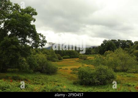 In and around Loch Insh Stock Photo