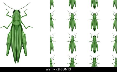 Grasshopper insects isolated on white background and seamless illustration Stock Vector