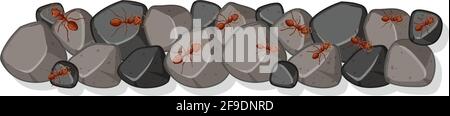 Top view of many ants on the rock illustration Stock Vector