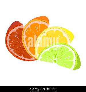 Orange, lemon, lime grapefruit Citrus slices Close-up Stock Vector