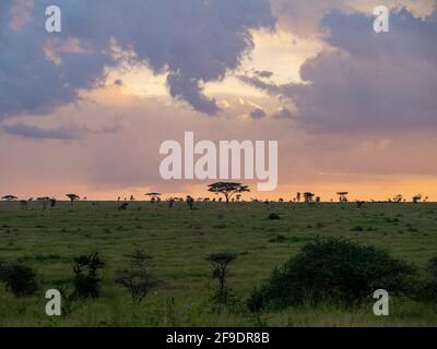 Serengeti National Park, Tanzania, Africa - February 29, 2020: Cloudy Sunset over the Serengeti Stock Photo