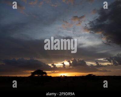 Serengeti National Park, Tanzania, Africa - February 29, 2020: Cloudy Sunset over the Serengeti Stock Photo