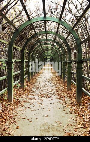 Old wood pergola in the Arkhangelskoye estate. Moscow, Russia Stock Photo