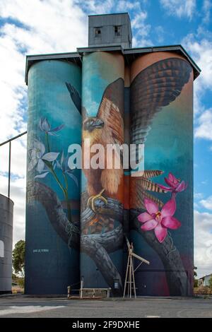 Australian Hobby and Sun Orchids Silo Art, Kaniva, Victoria, Australia Stock Photo